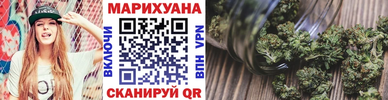 Конопля гибрид  Кувандык 